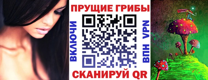 как найти закладки  Ногинск  Галлюциногенные грибы MAGIC MUSHROOMS 