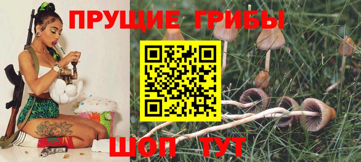 Псилоцибиновые грибы Cubensis  Вход с VPN  Ногинск 